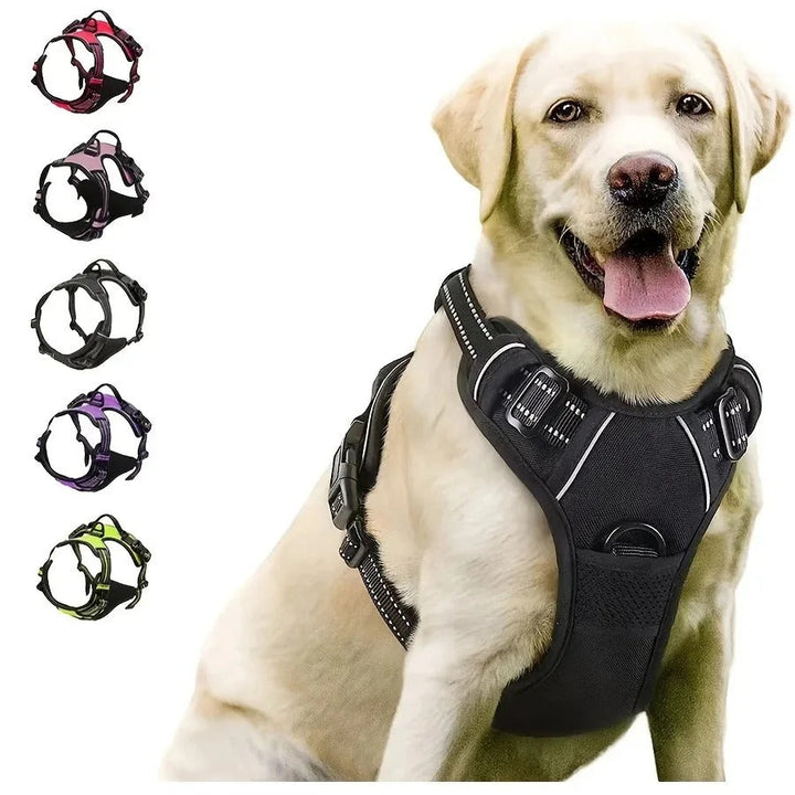 Dog Collars Harness Big Vests Leash Pet Shop Everything