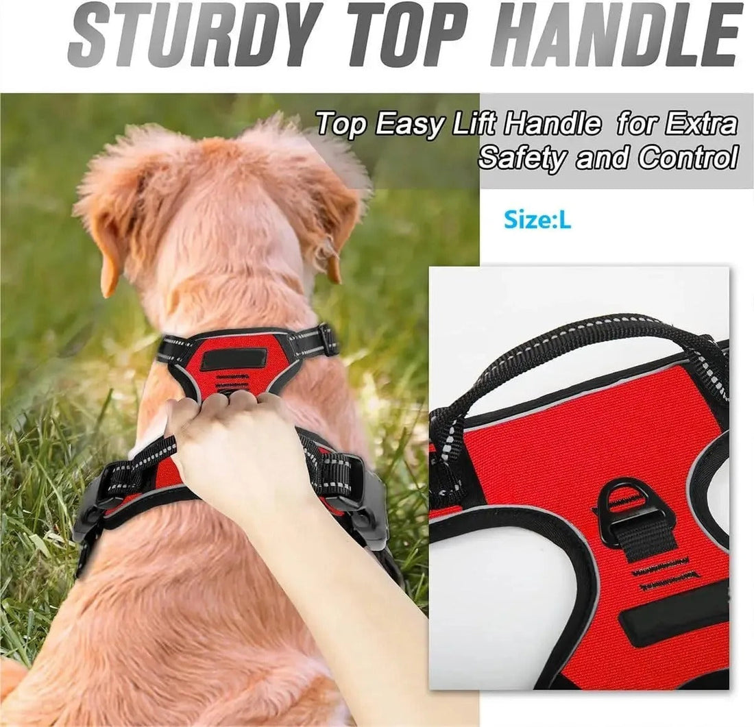 Dog Collars Harness Big Vests Leash Pet Shop Everything
